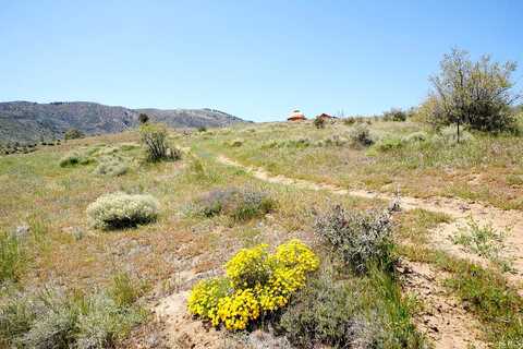 Snowshoe, TEHACHAPI, CA 93561