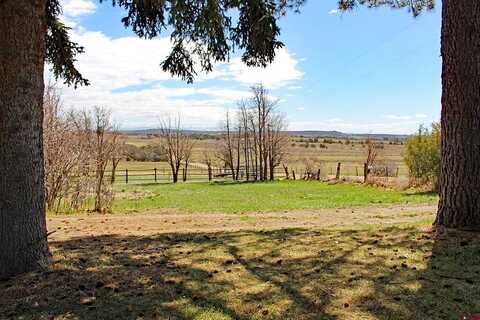 Road, LEWIS, CO 81327