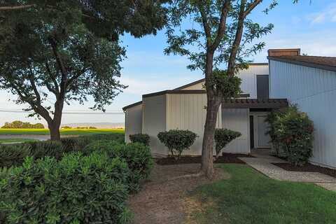 Snowberry, DIXON, CA 95620