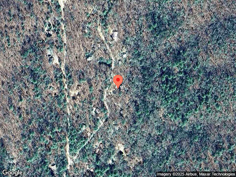 Honeysuckle, BLUE RIDGE, GA 30513