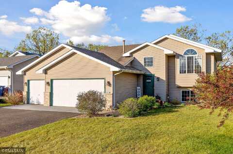 Sodium, ANOKA, MN 55303
