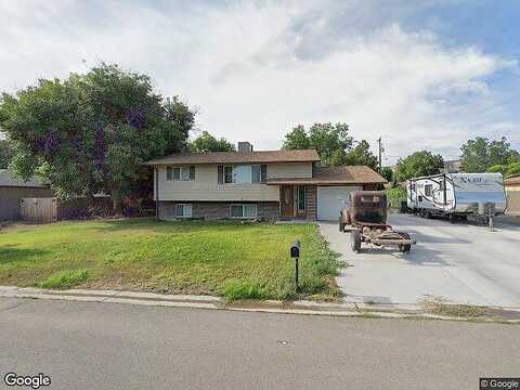 Saguaro, GRAND JUNCTION, CO 81507
