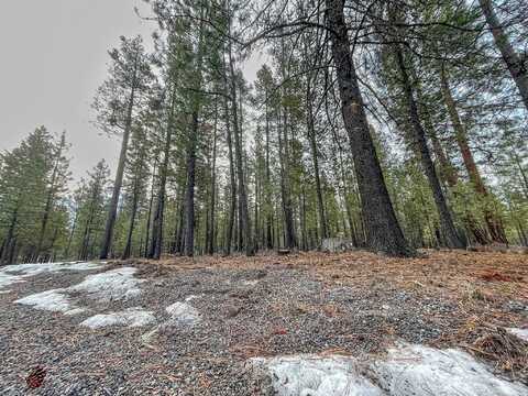 Ponderosa, LA PINE, OR 97739
