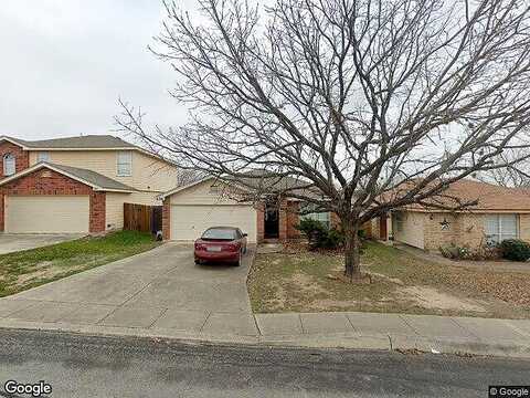 Leopard, SAN ANTONIO, TX 78251