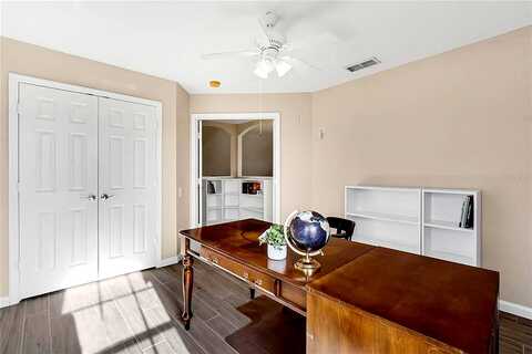 Fan Palm, KISSIMMEE, FL 34747
