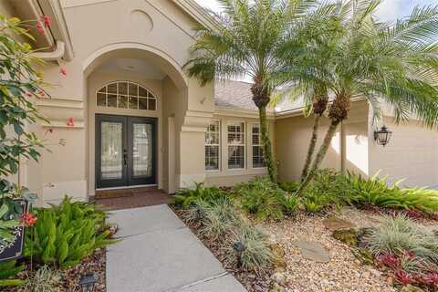 Auston, PALM HARBOR, FL 34685