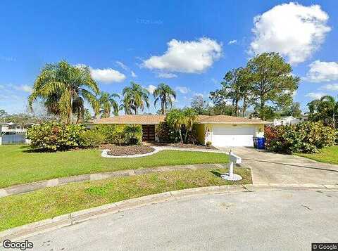 Ibis, CLEARWATER, FL 33764