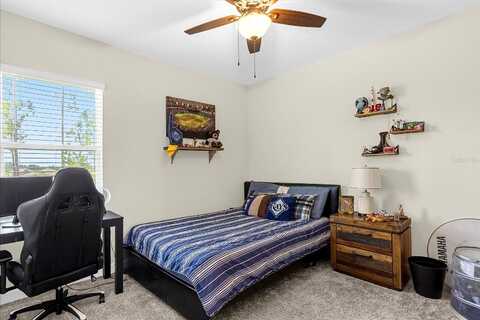 Mountain Pine, OCOEE, FL 34761
