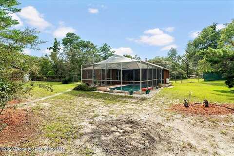 Madrid, WEEKI WACHEE, FL 34613