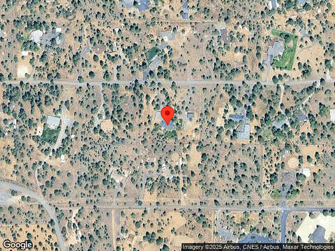 Bitterbrush, SISTERS, OR 97759
