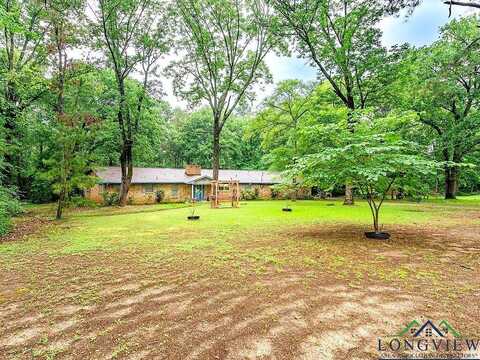 County Road 1131, DAINGERFIELD, TX 75638