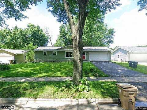 Violet, MADISON, WI 53714