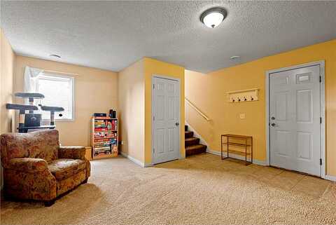 Lachman, SAINT MICHAEL, MN 55376