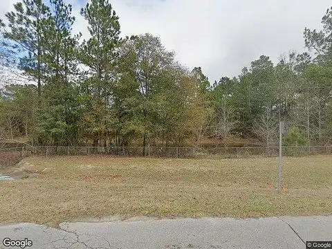 Turtle Pond, BAINBRIDGE, GA 39819
