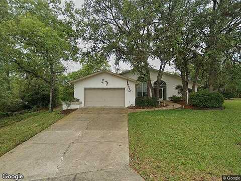 Dahlia, HOMOSASSA, FL 34446