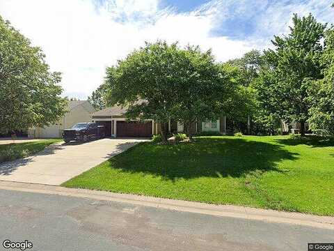Red Birch, CIRCLE PINES, MN 55014
