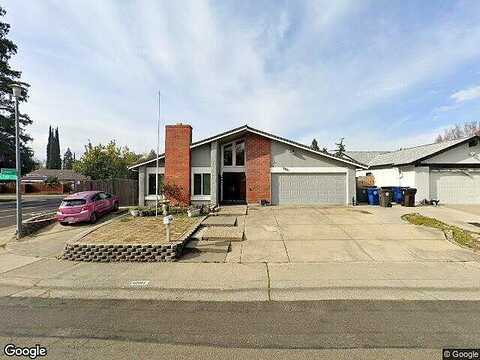 Olive Tree, CITRUS HEIGHTS, CA 95610