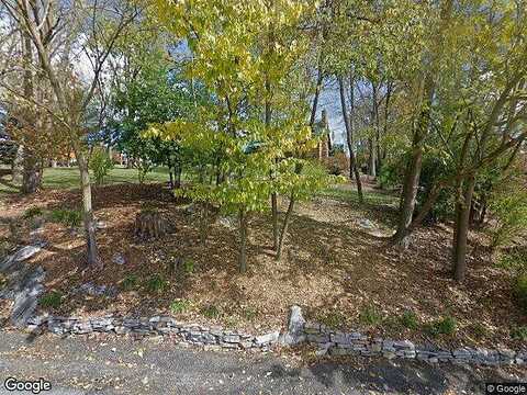 Petunia, WYTHEVILLE, VA 24382