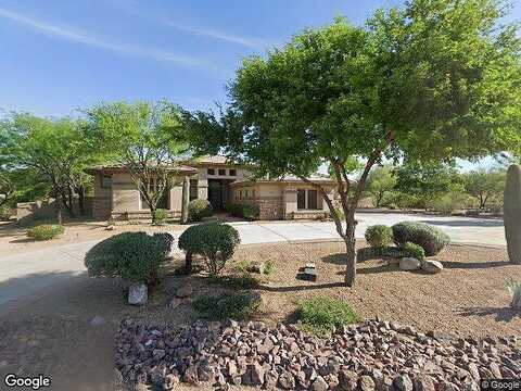 Coachwhip, CAVE CREEK, AZ 85331