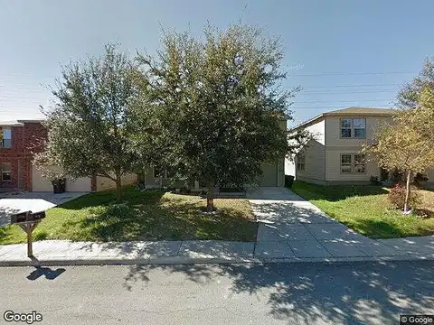 Shadbush, SAN ANTONIO, TX 78245