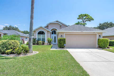 Florida Moss, PORT ORANGE, FL 32128