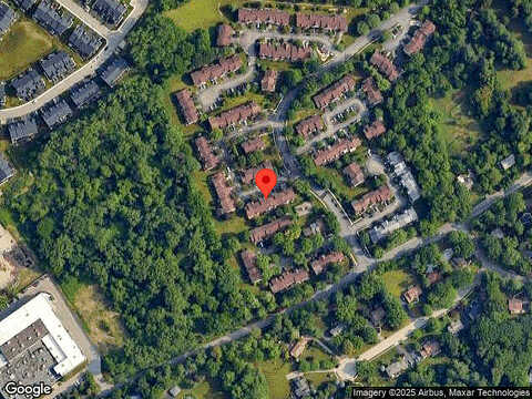 White Pine, LAFAYETTE HILL, PA 19444