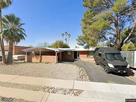 Palm Tree, TUCSON, AZ 85710
