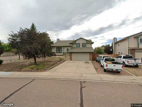 Lythrum, COLORADO SPRINGS, CO 80920