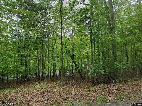 Pheasanty Hollow, WILLIAMSVILLE, VA 24487