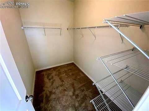 Gorgeted Quail, COLORADO SPRINGS, CO 80923