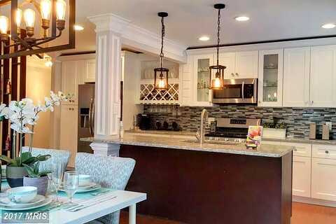 Vellex, ANNANDALE, VA 22003