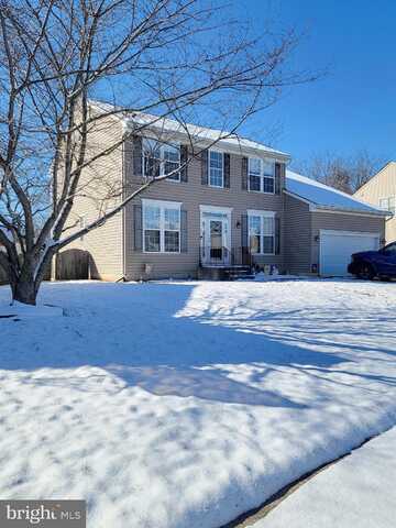 Parker, ORANGE, VA 22960