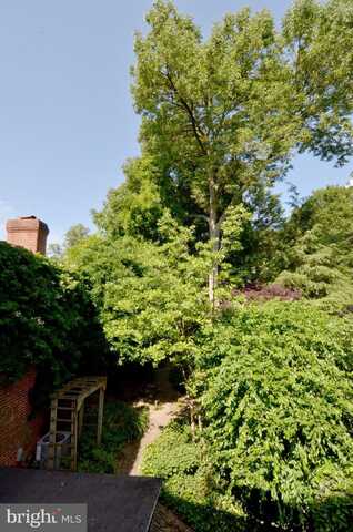 Mulberry, LANCASTER, PA 17603