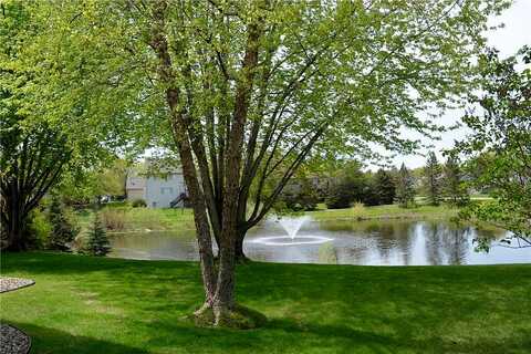 Narcissus, VICTORIA, MN 55386