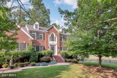 Chronical, FAIRFAX, VA 22030