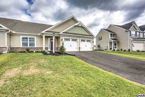 Canvasback, ELIZABETHTOWN, PA 17022
