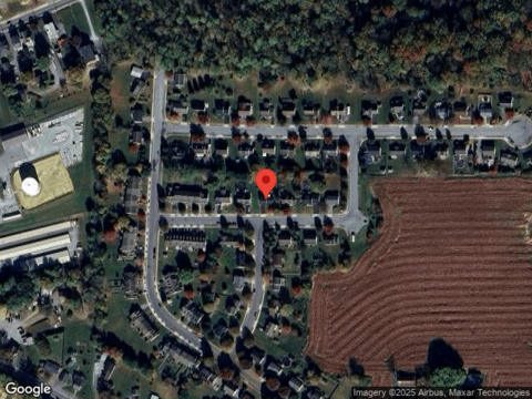 Larkspur, QUARRYVILLE, PA 17566