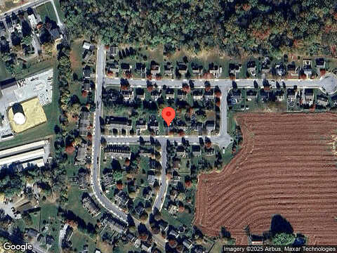 Larkspur, QUARRYVILLE, PA 17566
