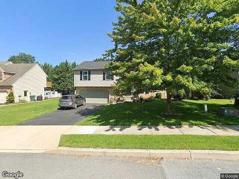 Larkspur, QUARRYVILLE, PA 17566