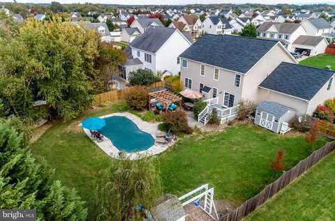 Caspian, STEPHENS CITY, VA 22655