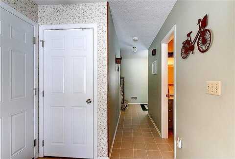 Elm, NORTHFIELD, MN 55057