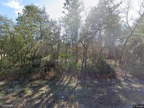 Maybird, WEEKI WACHEE, FL 34613
