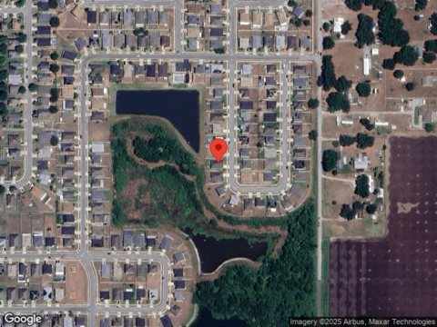 Crystal Dew, PLANT CITY, FL 33567