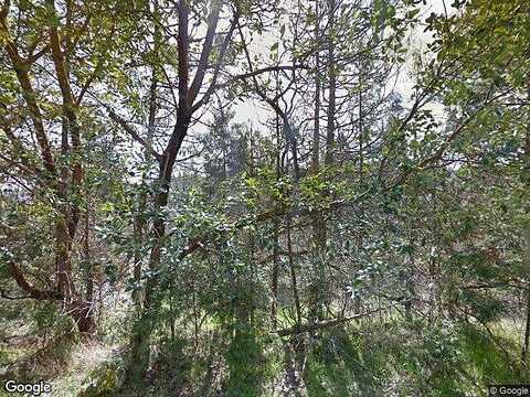 Oak, JACKSONVILLE, OR 97530