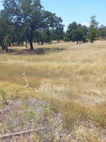 Palisades, REDDING, CA 96003