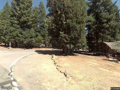 Conifer, WESTWOOD, CA 96137