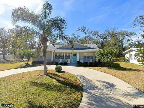 Palm, FLAGLER BEACH, FL 32136