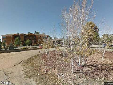 Ace, PAGOSA SPRINGS, CO 81147