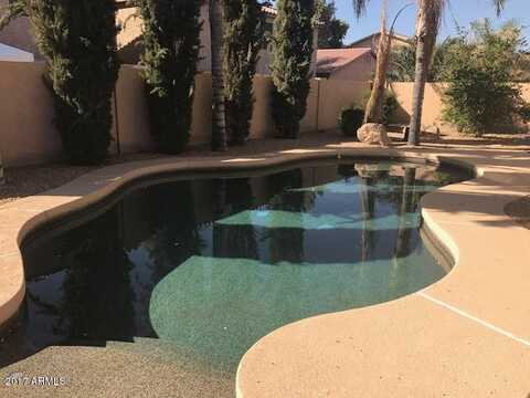 Wilson, CHANDLER, AZ 85249