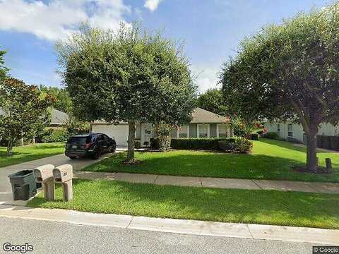 Chrysanthemum, ORMOND BEACH, FL 32174